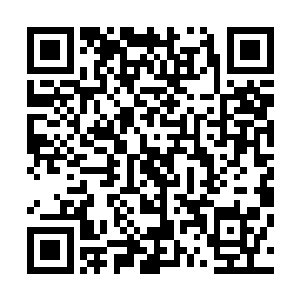 毫不犹豫的将体内的圣之力毫无半点保留的注入金色丝线内二维码生成