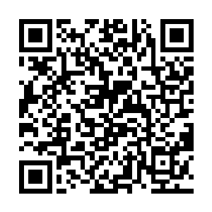 毫不犹豫的将这栋价值过百亿的楼盘转让给了王大力二维码生成