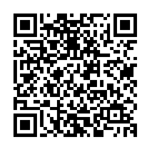 毫不犹豫的朝着风天狩掌中的火扇上其中两根尚存的翎羽中一遁二维码生成