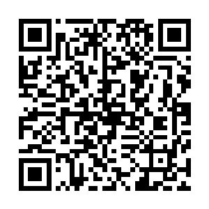 毫无保留的将体内所有力量通过创世之力转化为了空间能量二维码生成