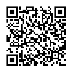 毫无意外的又是一个可怜的孩子捂着裤裆倒了下去二维码生成