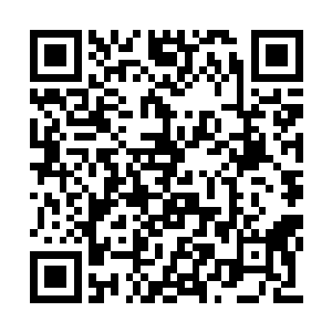 毫无意外的落到青色大蛇体外的青色防御罩之上二维码生成