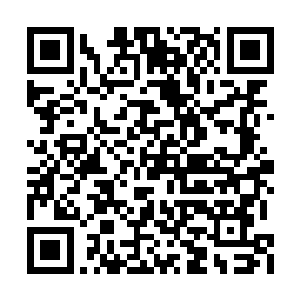 毫无疑问你是掌管使用这笔资金的最正确的人选二维码生成