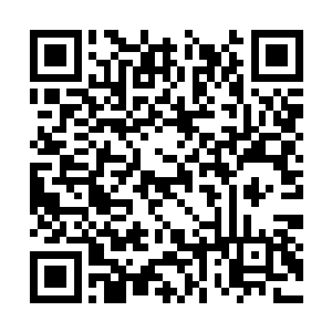 毫无疑问是将这对刚出生的双胞胎推到了风口浪尖二维码生成