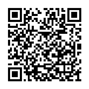 毫无疑问这九朵莲花中的传承应该是非常高级的二维码生成