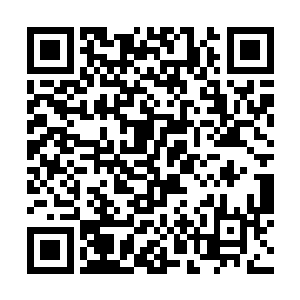 毫无疑问这就是进入到大殿之内碰触到了禁制的修士二维码生成