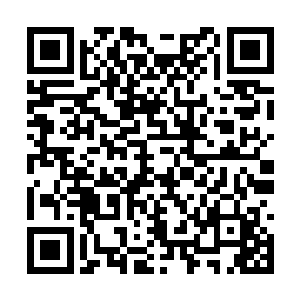 民主制度拯救不了这样千疮百孔和畸形变异的地球二维码生成