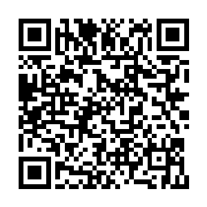 民众们更想知道苏落的八卦还是薇薇公主的八卦二维码生成