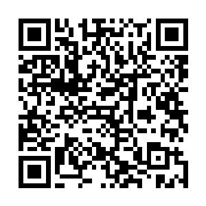 民兵们也如队长所说除了派出信使去通知镇民一切安全之外二维码生成