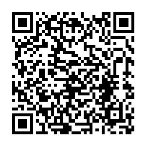民团特种兵大队的大队长楚飞扬也刚刚从接到了张蜀生亲自签发的二维码生成