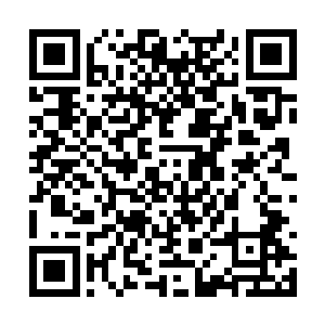 民国政府希望日本政府不要将错误的行动继续下去二维码生成