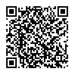 民女是……是想要同高大人检举当今太子老师顾瑜轩徇私枉法贪污受贿二维码生成