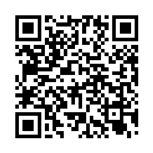 民盟军就是五十门小山炮列成前后两排二维码生成