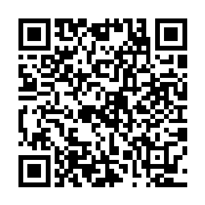 民盟现任领导人的母亲与中国老一辈领导人有着良好的友谊二维码生成