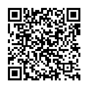 气势上的差距让布拉德不由就觉得自己矮了一截二维码生成