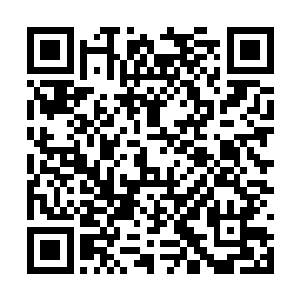 气喘吁吁的雷欢喜带着欧文和保罗一起来到了山顶二维码生成