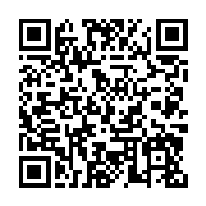 气场中央――比试场中传来令人心悸的魂力波动二维码生成