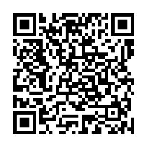 气场就是让喀秋莎也不得不使劲掰父亲的头示意他看这边二维码生成