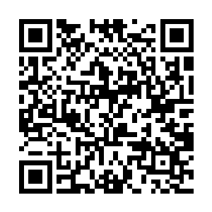 气宇间有温婉含蓄的柔美却又不失厚积薄发高傲风范二维码生成