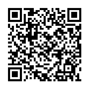 气得经纪人司徒以及公司老板薛玉祥是七窍生烟二维码生成