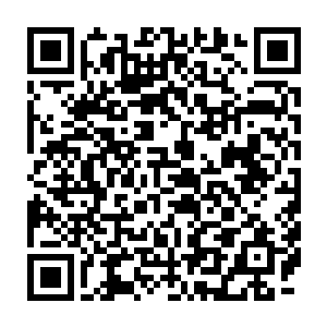 气息不对···杀···不是同伴···杀···未成熟··冰··杀··不杀··二维码生成