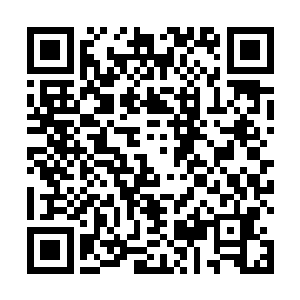 气氛变得更加亲切熟络――虽然上来就通过和珍妮搭话二维码生成