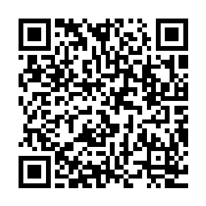 气氛很快就在梁炎和另外一个三十出头的女人刻意营造下起来了二维码生成