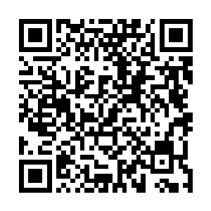 气海老祖怎么做将会是影响东海蛊仙抉择的一个重要砝码二维码生成