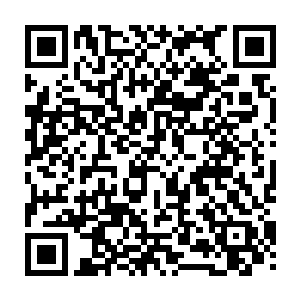 气窝处有一股股温暖又充沛的气体像是一条条气脉伸向四肢以及全身各大经脉二维码生成