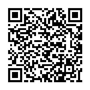 气血之力强大又能给你的整体实力带来多少提高二维码生成