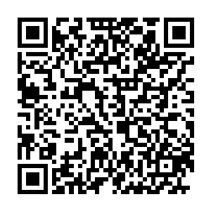 气质出众的大美女秦幼宁在整个第一季32名学员中外形条件稳居前三二维码生成