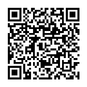 氤氲全身的淡淡绯色光芒中恍惚燃起点点金色火焰二维码生成