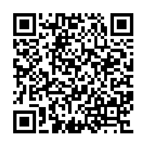 氮肥厂副厂级以上领导除了卢向东这个厂长之外二维码生成