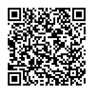 水中的盔甲不断地变色直到完全变成了锈铁色的时候水洼中的盔甲再也不动了二维码生成
