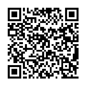 水侍卫看向长阳明月的目光中带着一丝复杂之色二维码生成