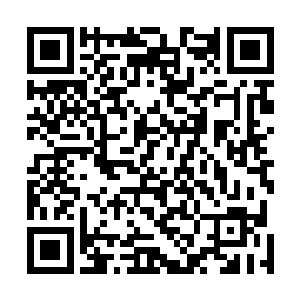 水墙正中则被那仙鹤撞击出了一个巨大的仙鹤形状的破口二维码生成