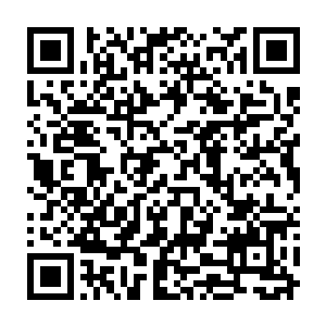 水奴和阿元正在收拾行礼――之前的衣物等日常用品都在这几次意外里丢失二维码生成