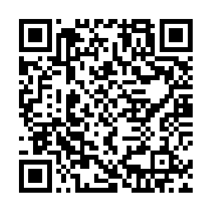 水奴把自己的和殷暖的东西收拾好之后又帮她一起整理二维码生成