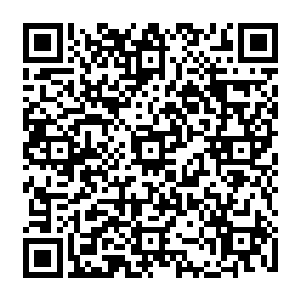 水底的土狗带着驱赶着渔寿再一次绕回来的时候对于这些馋嘴的货就没有这么客气了二维码生成