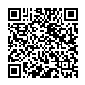 水手们本能地不希望看到罗林这么一个厉害的小子被群鲨杀死二维码生成