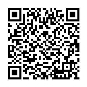 水手的经历让小迈克选了一条最可能获救的方式二维码生成