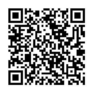 水族是五大部族中专门培养祭司和指挥官阶层的核心二维码生成