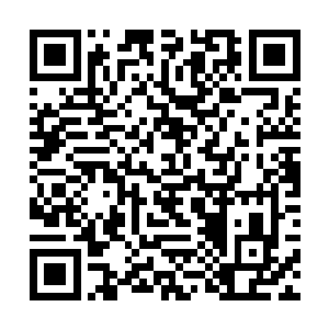 水无痕对于报焱龙帝宫杀女之后其实并不报太大希望二维码生成