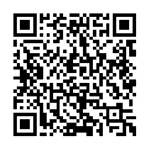 水无痕的脸上顿时也露出了一抹无比兴奋的神情二维码生成