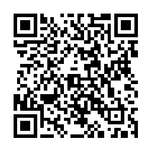 水晶果实里记录了那几天她跟南宫流云的点点滴滴二维码生成