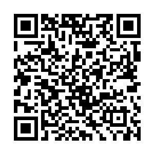 水晶球竟是硬生生的被混沌神兽给从地上拽出吞下了二维码生成