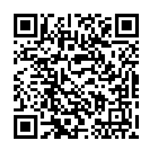 水晶的聪明程度虽然赶不上她那个怪物一样的老爹阿拉丁二维码生成