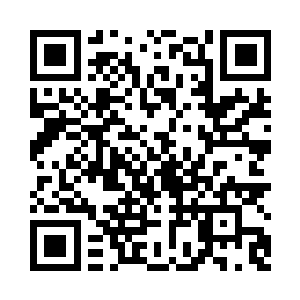 水桶粗细的巨蟒从树枝上爬了下来二维码生成