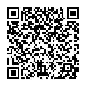 水母明显异常的反应让流墨墨不由摩挲着自己的下巴和雪如楼说道二维码生成