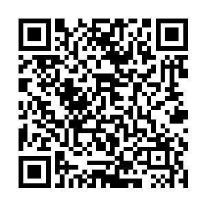 水汪汪大大眼睛半是威胁半是俏皮的瞥了一眼朱平安二维码生成